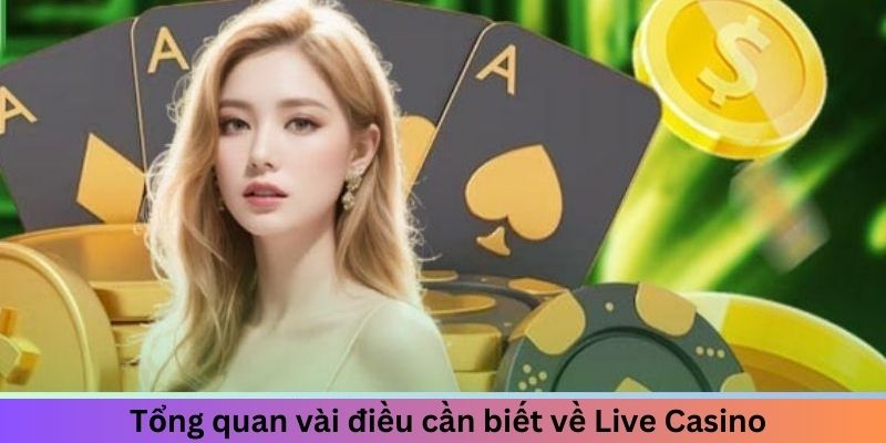 Tổng quan vài điều cần biết về Live Casino